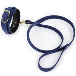 Generique Collier et Laisse Lighty Bleu